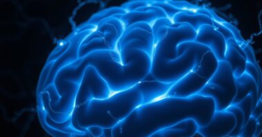 brain cleaning during sleep