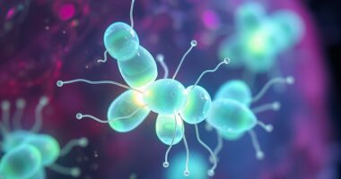 maintain mitochondrial function daily