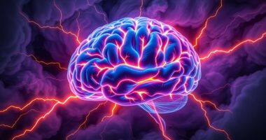 stress induced brain remodeling