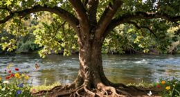 balanced boundaries and empathy