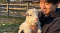 Baby Goats From A Traveling Petting Zoo Test Positive For Rabies