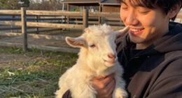 Baby Goats From A Traveling Petting Zoo Test Positive For Rabies