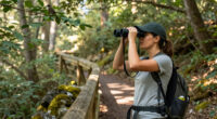Birdwatching Rewires The Brain And Slows Cognitive Decline